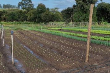 ASSISTÊNCIA TÉCNICA RURAL GRATUITA EM CAXAMBU