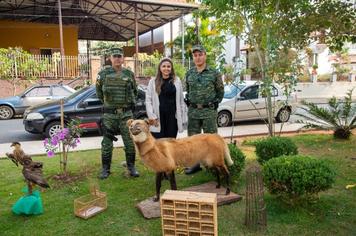 ALUNOS CONHECEM TRABALHO DA POLÍCIA DO MEIO AMBIENTE