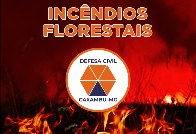 Previna-se: Saiba como agir em casos de INCÊNDIOS FLORESTAIS