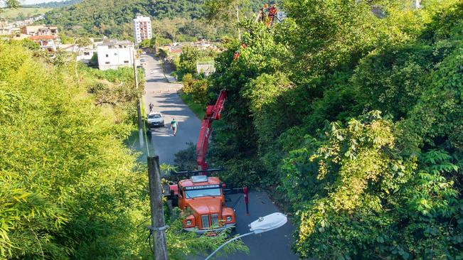 MEIO AMBIENTE – PODAS EM ÁRVORES DA AVENIDA EVARISTO DE SÁ GUEDES