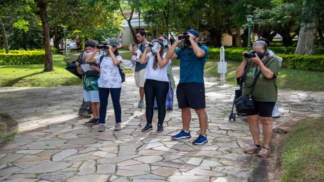 OBSERVAÇÃO DE PÁSSAROS PROMOVE BEM-ESTAR E VALORIZA O MEIO AMBIENTE