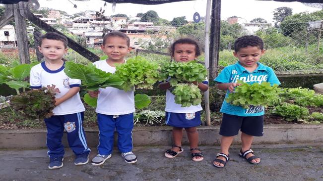 COLHEITA NA HORTA DO CEI CAXAMBU VELHO