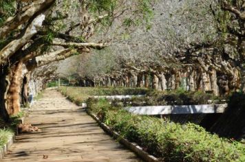 Foto - A Cidade