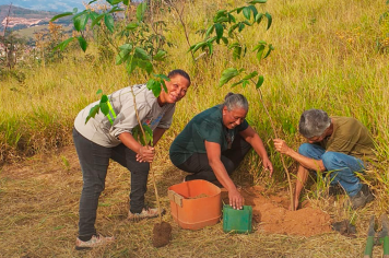 Dia Mundial do Meio Ambiente