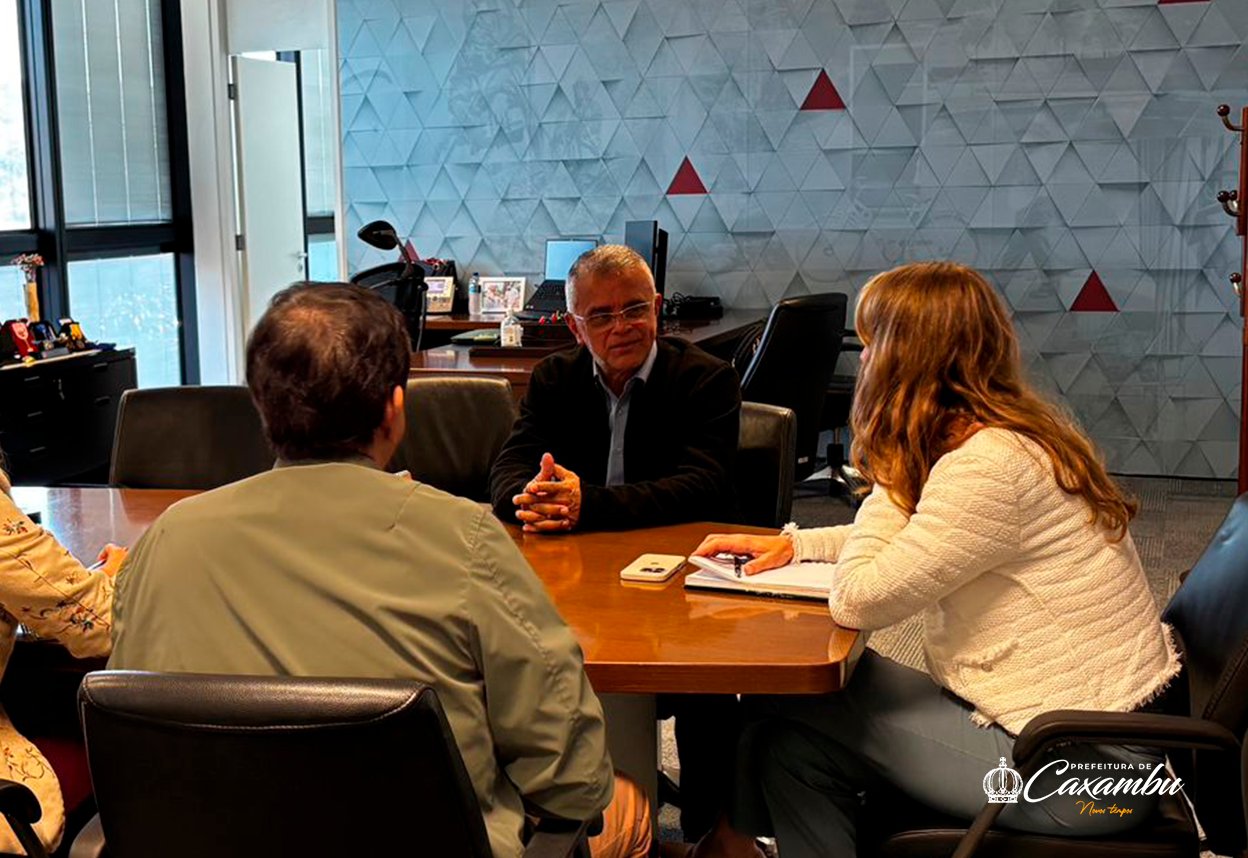 Reunião institucional com a presidente da Companhia de Desenvolvimento de Minas Gerais (CODEMGE)